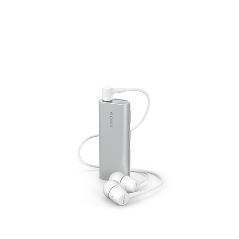 Sony - Sbh56 - Bluetooth Sztereó Fejhallgató Hangszóróval - Ezüst