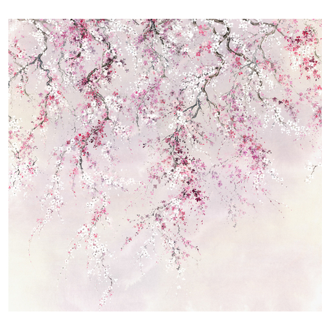 Fotó Háttérképek Gyapjú - Cseresznyevirágok - Méret 300 X 280 Cm