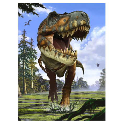 Fotó Háttérképek Gyapjú - Tyrannosaurus Rex - Méret 184 X 248 Cm