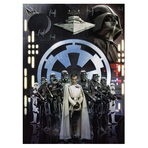 Fotó Háttérképek Gyapjú - Star Wars Birodalom - Méret 200 X 275 Cm