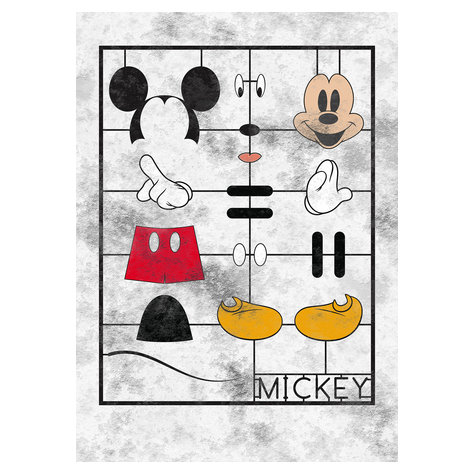 Fotó Háttérképek Gyapjú - Mickey Kit - Mérete 200 X 280 Cm