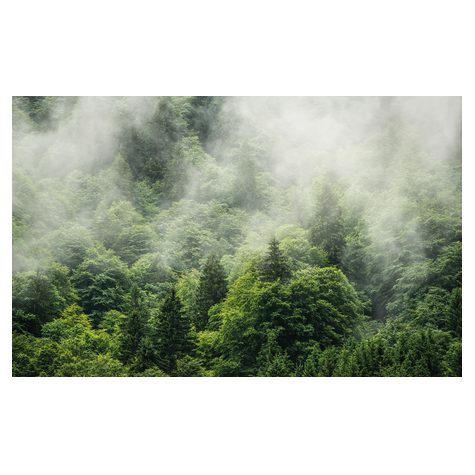 Fotó Háttérképek Gyapjú - Forest Land - Mérete 400 X 250 Cm
