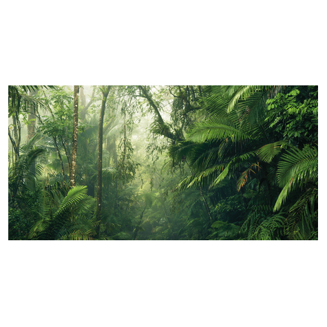 Fotó Háttérképek Gyapjú - Trópusi Világok - Méret 500 X 250 Cm