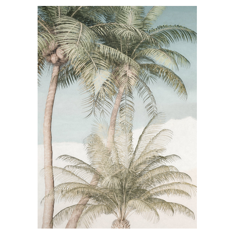 Fotó Háttérképek Gyapjú - Palm Oasis - Méret 200 X 280 Cm