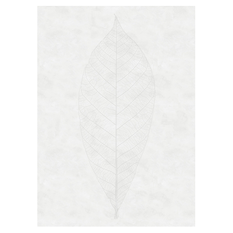 Fotó Háttérképek Gyapjú - Decent Leaf - Méret 200 X 280 Cm
