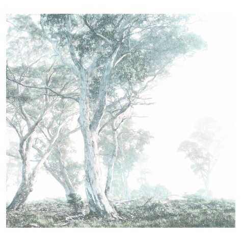 Fotó Háttérképek Gyapjú - Magic Trees - Mérete 300 X 280 Cm