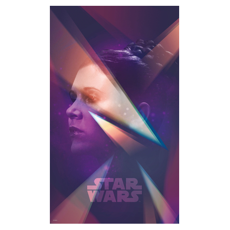 Fotó Háttérképek Gyapjú - Star Wars Female Leia - Méret 120 X 200 Cm