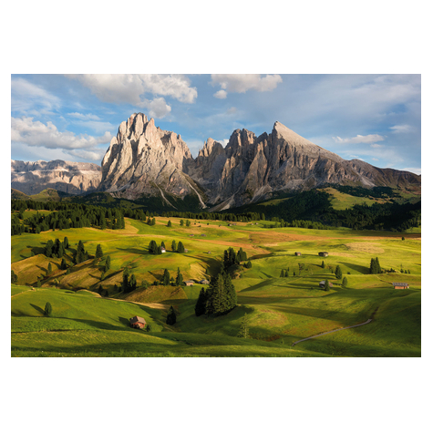 Fotó Háttérképek Gyapjú - Alpok - Méret 400 X 260 Cm