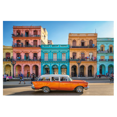 Fotó Háttérképek Gyapjú - Havanna - Méret 400 X 260 Cm
