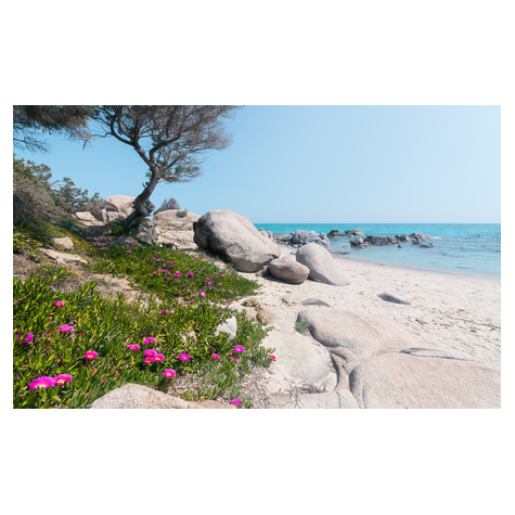 Fotó Háttérképek Gyapjú - Mediterrán Álmok - Méret 450 X 280 Cm