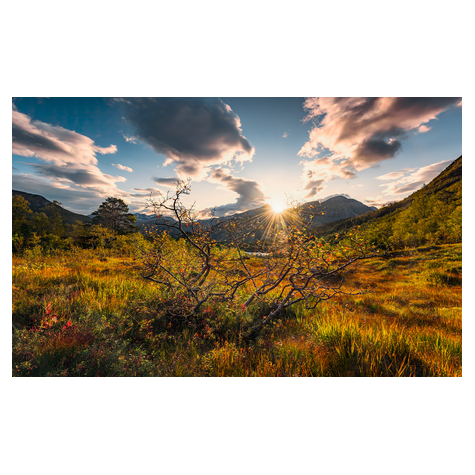 Fotó Háttérképek Gyapjú - Norvég Őszi Világok - Méret 450 X 280 Cm