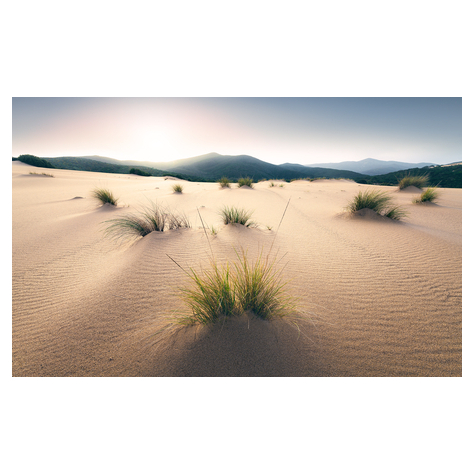 Fotó Háttérképek Gyapjú - Vivid Dunes - Méret 450 X 280 Cm