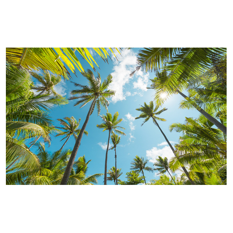 Fotó Háttérképek Gyapjú - Coconut Heaven - Méret 450 X 280 Cm