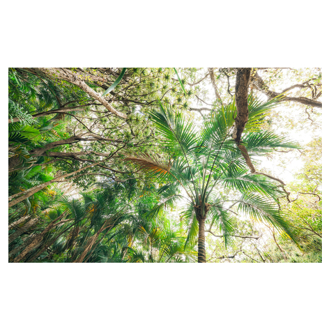 Fotó Háttérképek Gyapjú - Touch The Jungle - Mérete 450 X 280 Cm