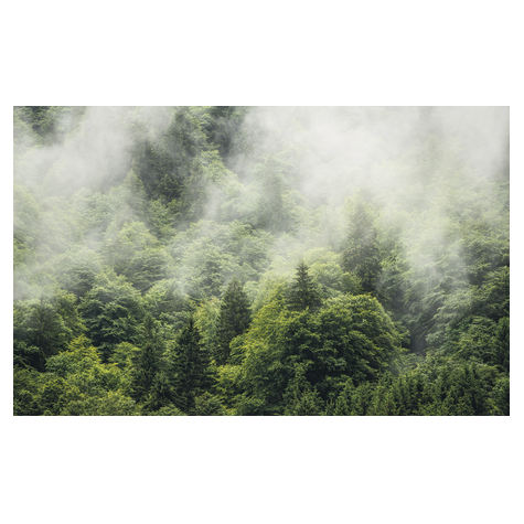 Fotó Háttérképek Gyapjú - Forest Land - Mérete 400 X 250 Cm