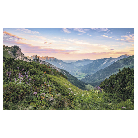 Fotó Háttérképek Gyapjú - Alpok - Méret 400 X 250 Cm