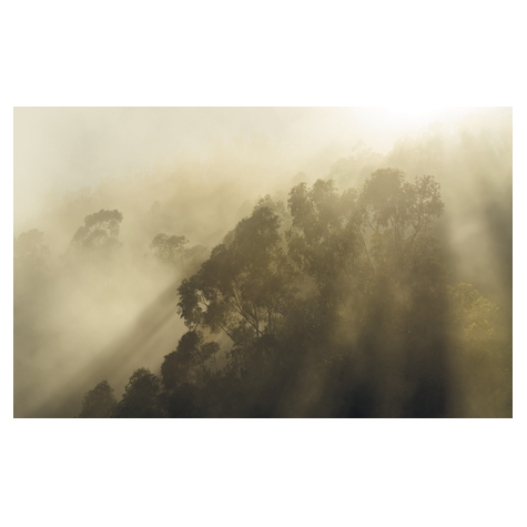 Fotó Háttérképek Gyapjú - Ködös Hegy - Méret 400 X 250 Cm