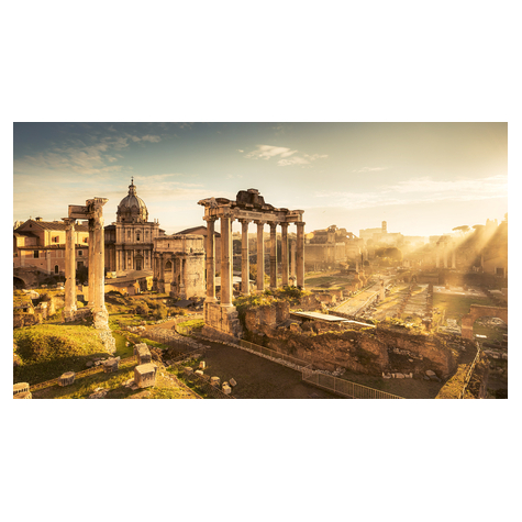 Fotó Háttérképek Gyapjú - Forum Romanum - Méret 500 X 280 Cm
