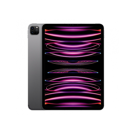 Apple Ipad Pro 11 Wi-Fi + Cellular 2tb Space Gray 4. Gen. Mnyl3fd/A
