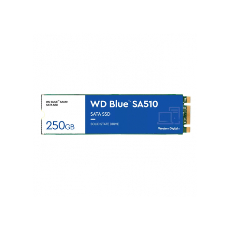 Wd Blue Sa510 M.2 250 Gb-Os Sata Ssd Wds250g3b0b Wds250g3b0b