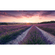 Fotó Háttérképek Gyapjú - Lavender Dream - Mérete 450 X 280 Cm