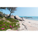 Fotó Háttérképek Gyapjú - Mediterrán Álmok - Méret 450 X 280 Cm