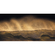 Fotó Háttérképek Gyapjú - Golden Wave - Méret 200 X 100 Cm